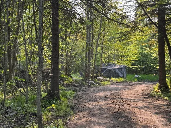 Corner Cnr Of Lowder & Williams Hill Rd, Grand Marais, MI 49839