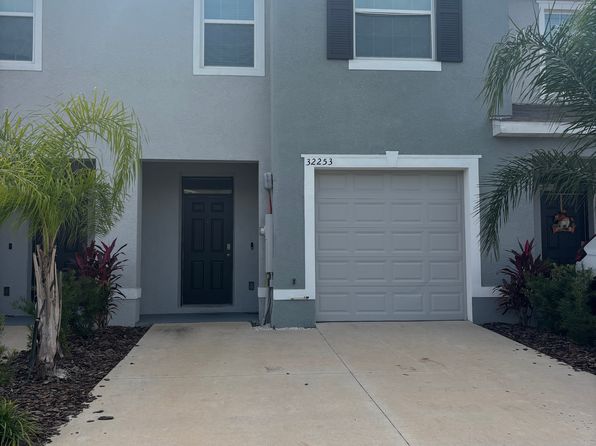 32253 Turtle Grace Loop