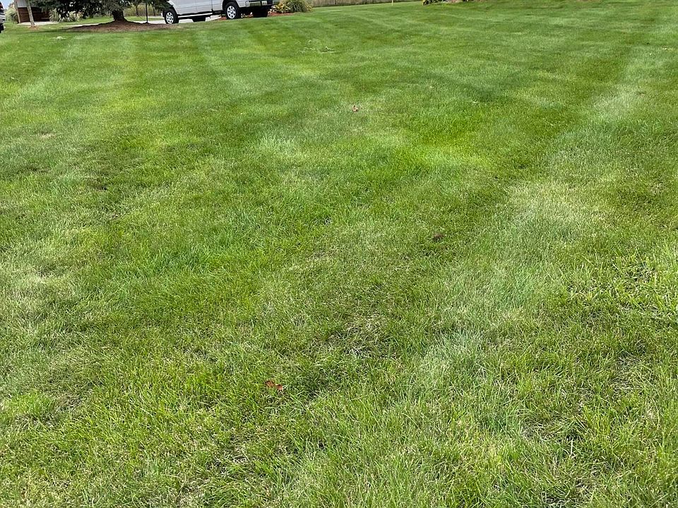 2nd image of 11720 64th St SE