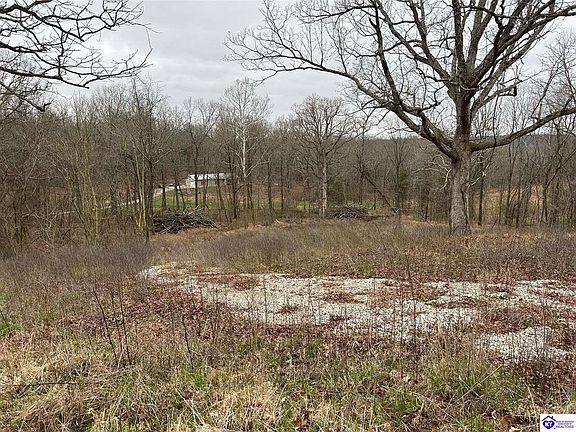 4th image of 185 Rhodelia Rd