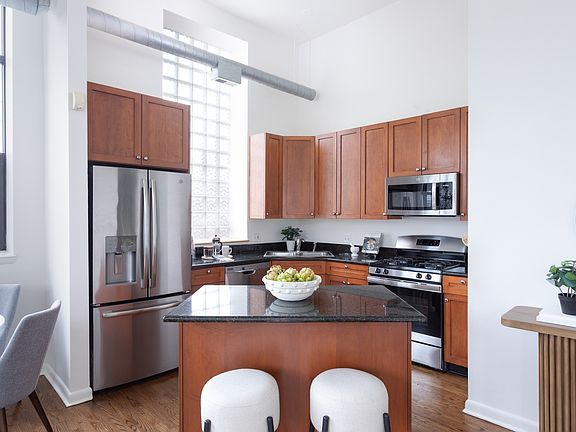 4th image of 1137 N Wood St #D2