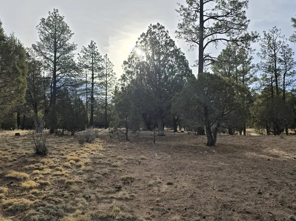 2218 Mountain Lion Ln, Overgaard, AZ 85933