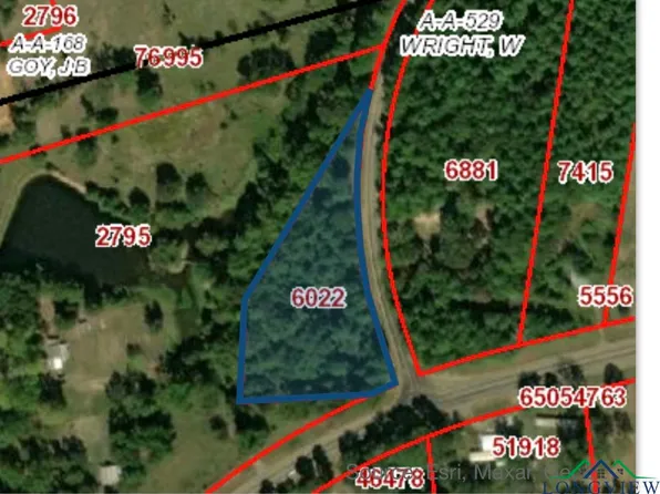 Fm 2796, Gilmer, TX 75644