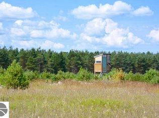 Buttermilk Ln, Manton, MI 49663