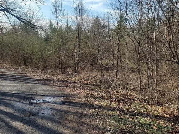 0 Willard Rd, Blacksburg, SC 29702