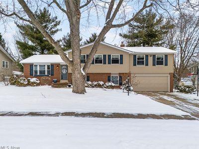 594 Dirlam Ln, Lexington, OH, 44904