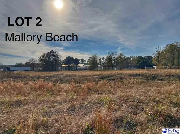 LOT 2 Mallory Beach Rd, Latta, SC 29565