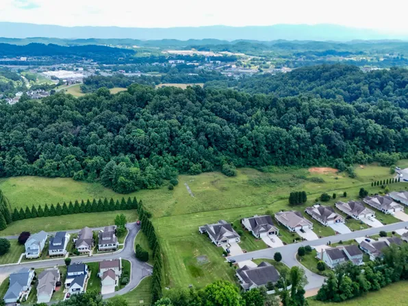 Wallace Meadows Way, Bristol, VA 24202