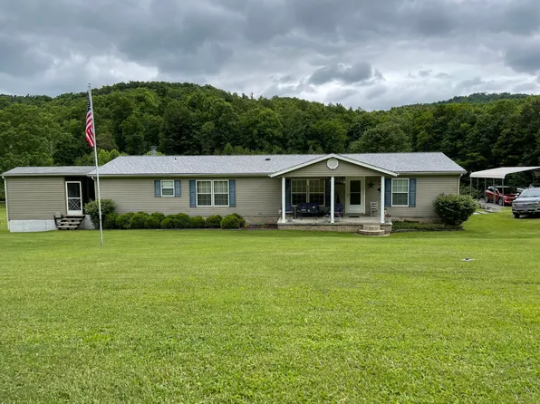 217 Brushy Meadow Fork Rd, Leivasy, WV 26676