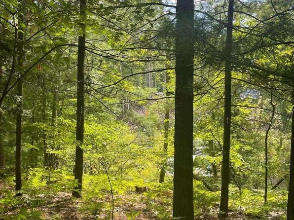 0 Eagles Nest Ct, Alger, MI 48610