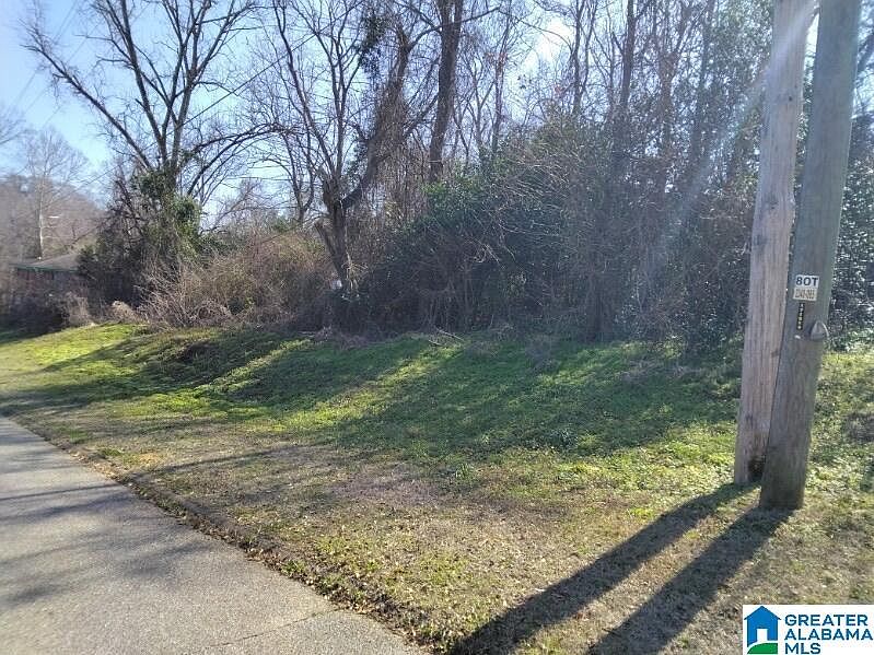 2nd image of 0 Dr L C McMillian Ave #37