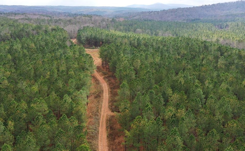 2nd image of Jones Mountain Rd