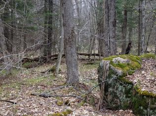 00 Dale Rd, Brandon, NY 12966