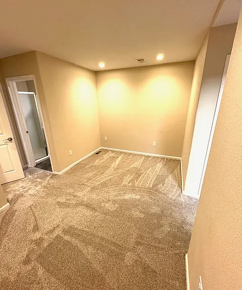 Basement Living Space