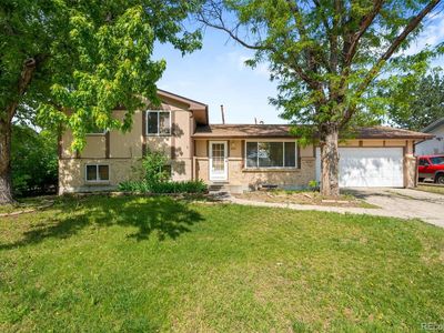 6953 Ingalls Street, Arvada, CO, 80003