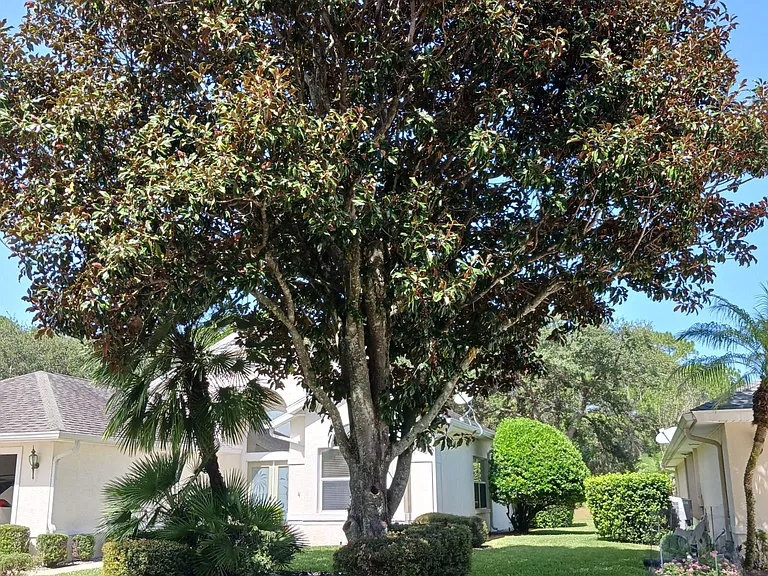 5 Villa Lago Ln — Photo 42