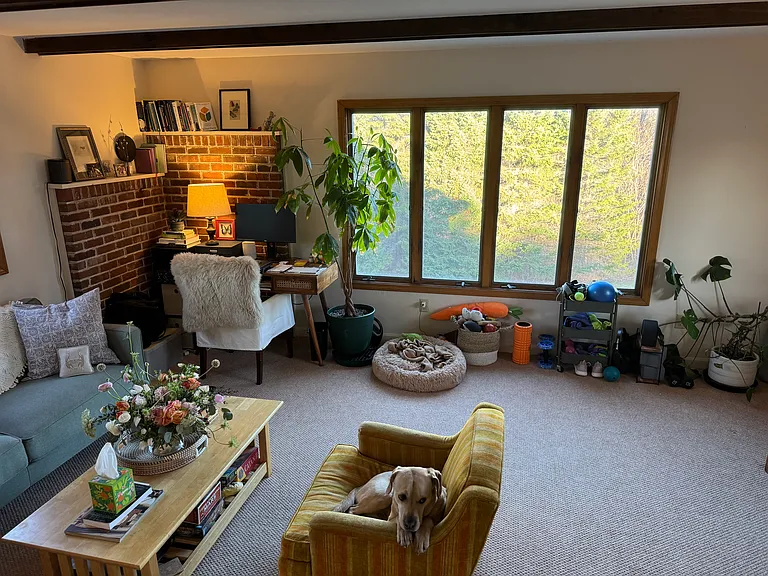 29 Webster Rd — Photo 8