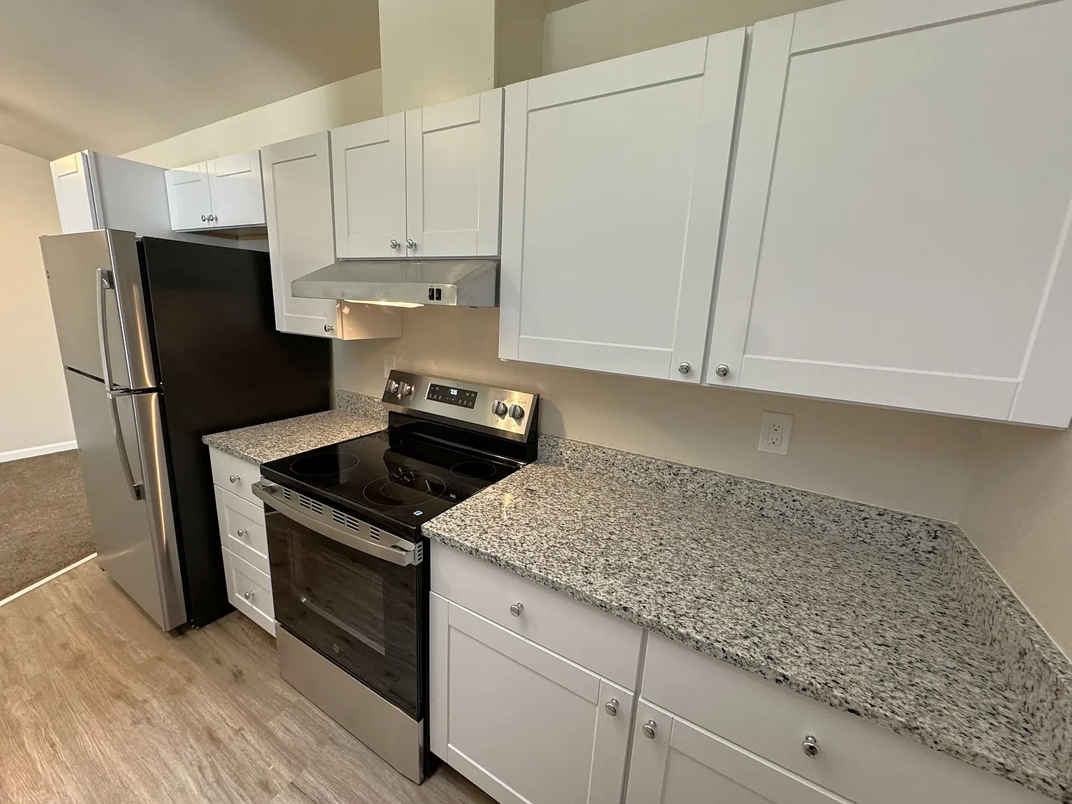 1 bed, 1050 sqft, $1,400 — Photo 4