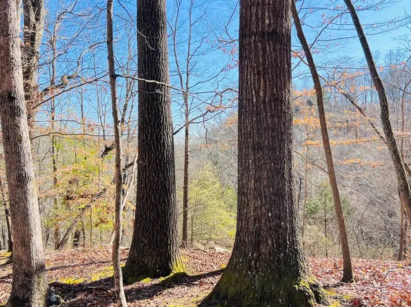 1075 Patterson Rd, Russell Springs, KY 42642