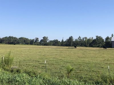 42 Marcella Falls Rd, Ethridge, TN, 38456