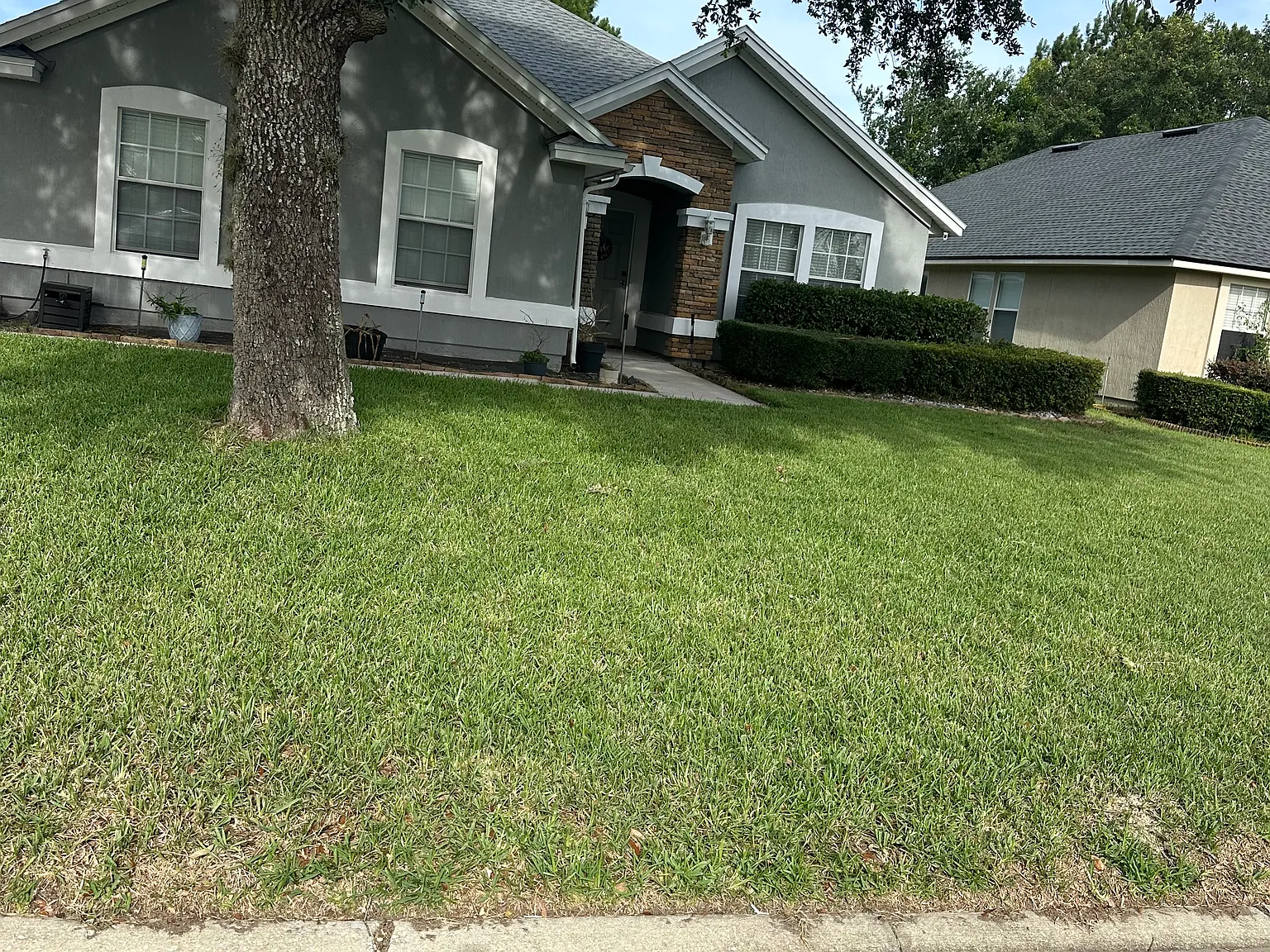 4 bed, 2016 sqft, $2,300 — Photo 2