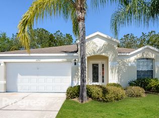 26701 Middleground Loop, Wesley Chapel, FL 33544