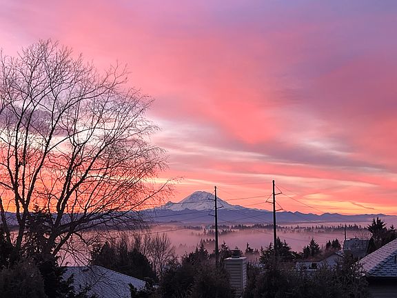view from the primary bedroom