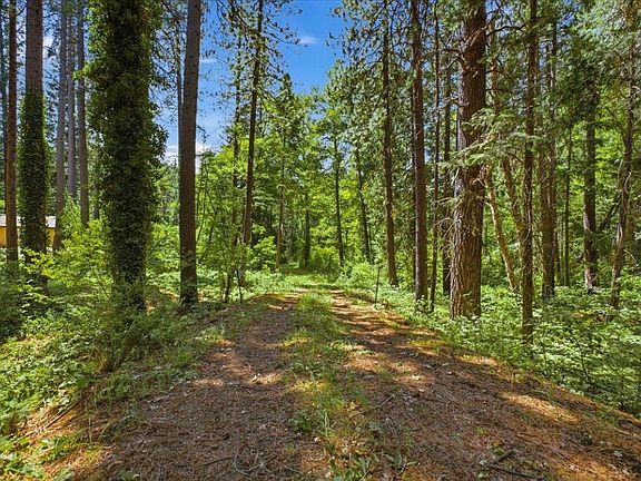 4th image of 31 N Shasta Ranch Rd