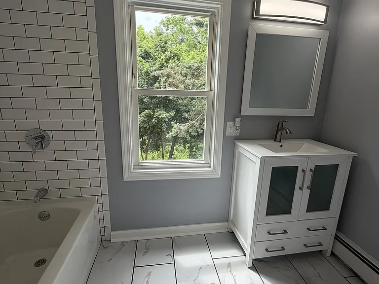 Bathroom shower and vanity