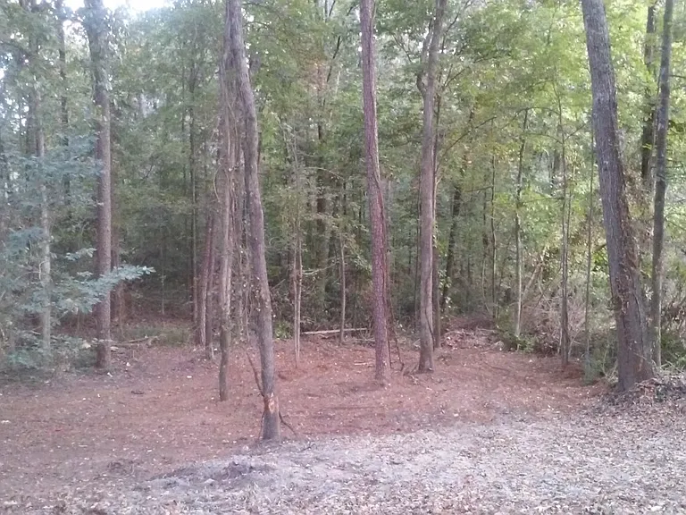 8047 Rockbridge Rd — Photo 2