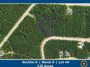 11837 Moss Grove Ct Lot 40, Willis, TX 77378