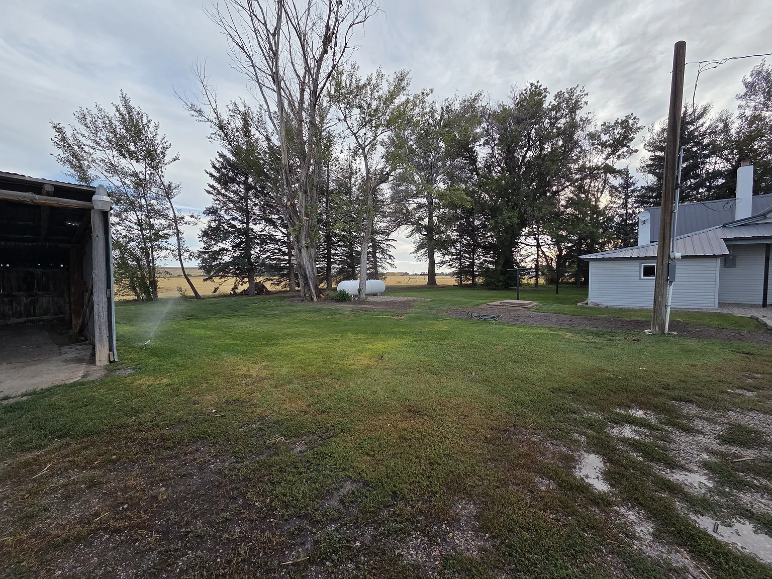 3 bed, 992 sqft, $1,675 — Photo 3