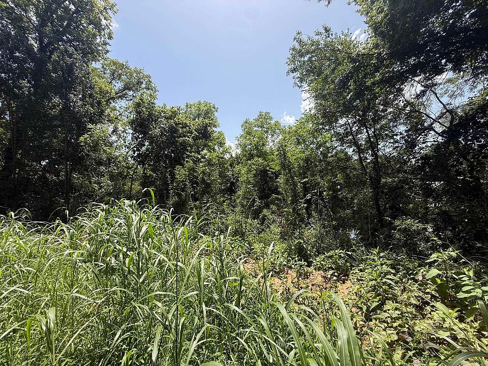 2nd image of 49 River Ln