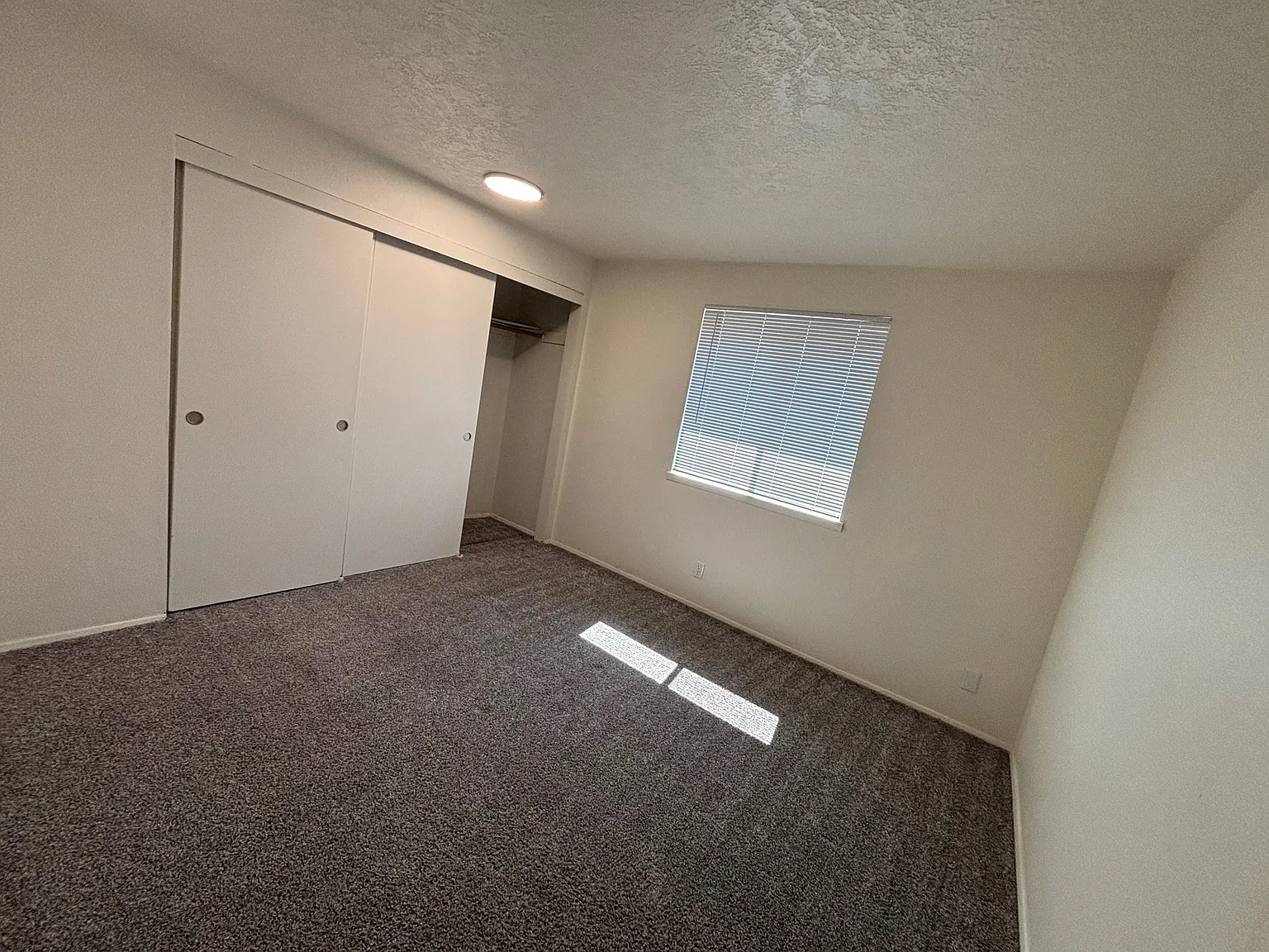2 bed, 800 sqft, $1,400 — Photo 4