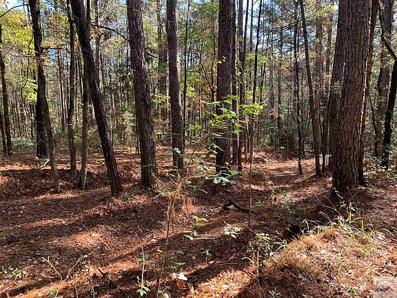 4th image of County Road 4814
