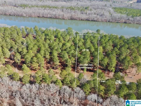 643 Liberty Shores Blvd Lot 9B, Vincent, AL 35178