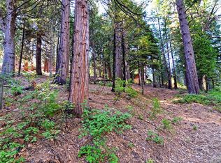 2545 Cheyenne Way #136, Arnold, CA 95223