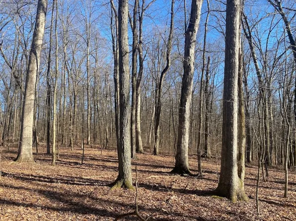 28370 Jug Run Rd, Frazeysburg, OH 43822