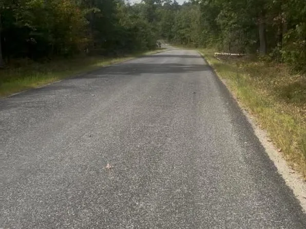 Log Cabin Rd, Beaverdam, VA 23015