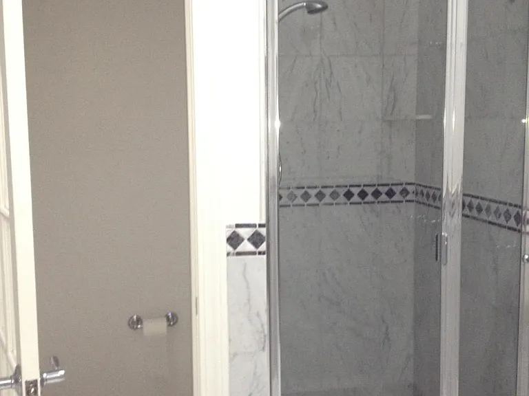 STEP IN SHOWER, MASTER BATH