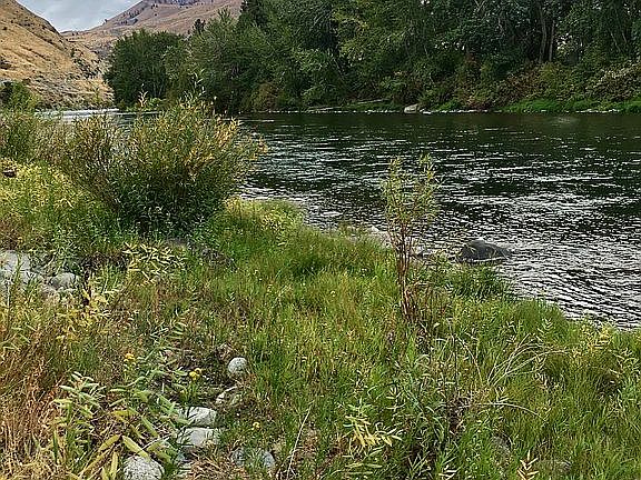 Downriver View from Property