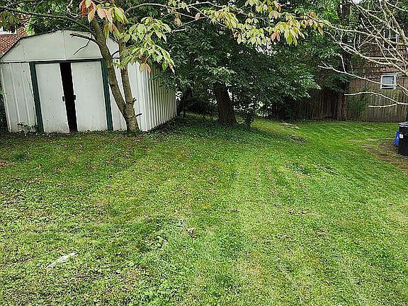 Backyard with shed