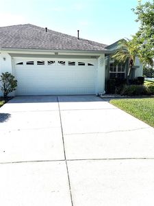 19420 Haskell Pl, Land O Lakes, FL, 34638