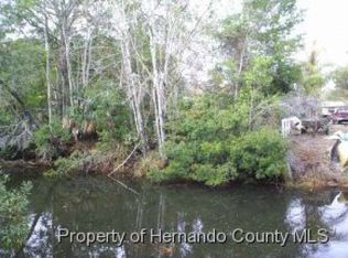 6419 Seabreeze Ave, Weeki Wachee, FL 34607