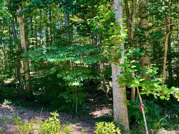 N Blue Ridge Dr, Louisa, VA 23093