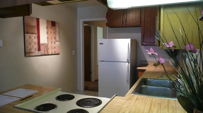 317 Spruce St #2 — Photo 4
