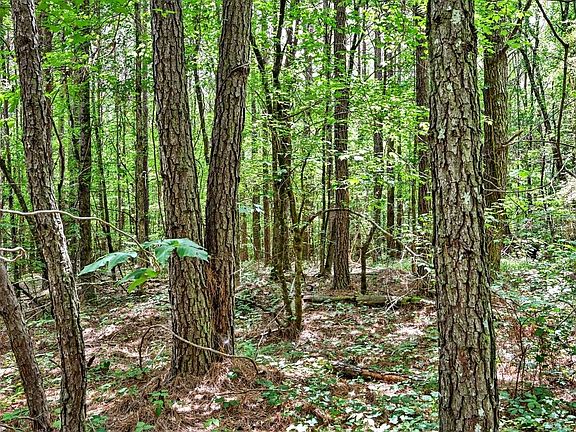 5th image of 0 County Road 33