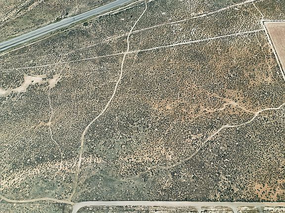 5th image of 40 Acres