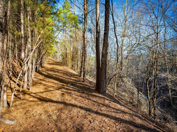 0 Gray Hawk Dr, Paron, AR 72122