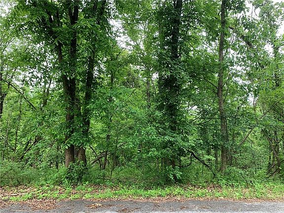 2nd image of Rountree Dr